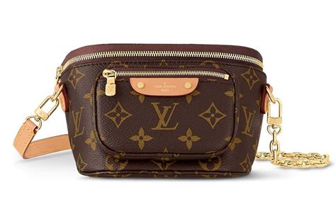 louis vuitton small bum bag